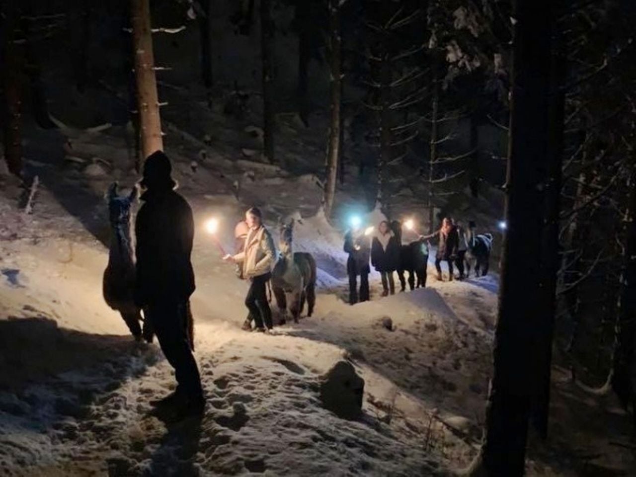 Fondueplausch Alpaka und Lama Trekking