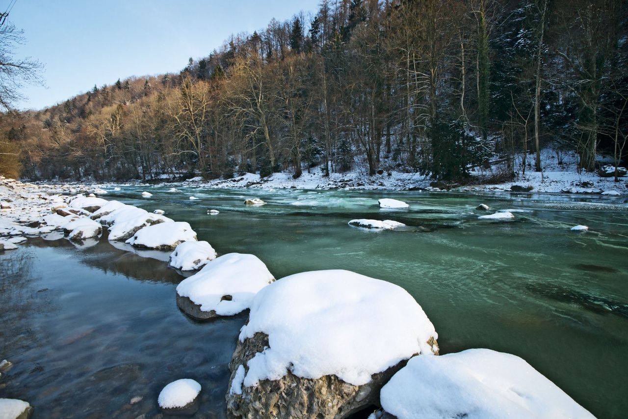 Naturpark Zürich Fluss Sihl (