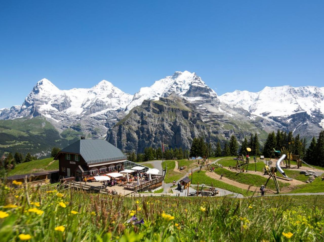 Ab Zürich: Bustour nach Interlaken