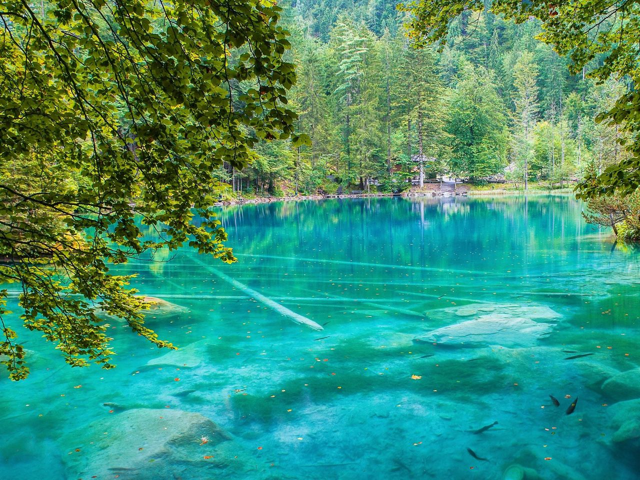 Evening Entry Ticket Blausee