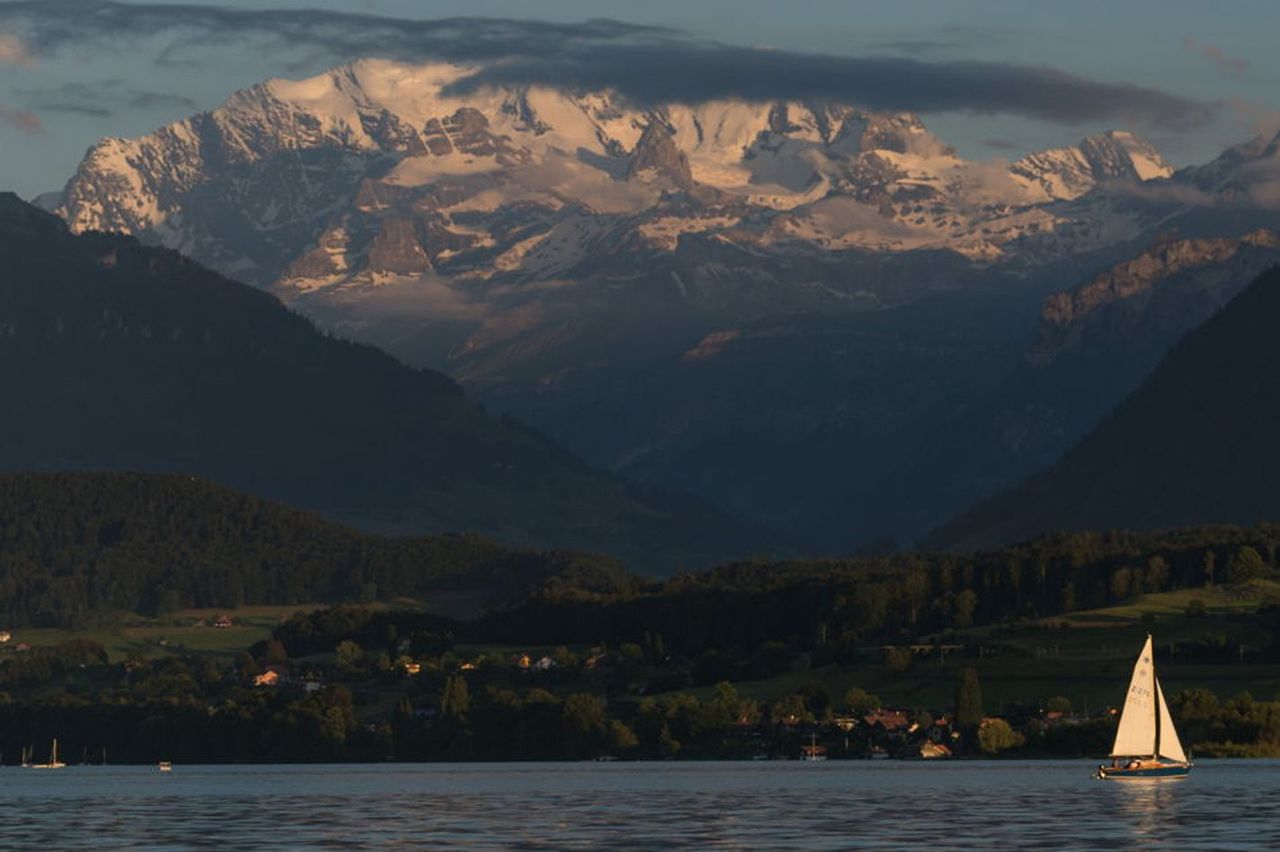 Cheese and wine tasting on Lake Thun
