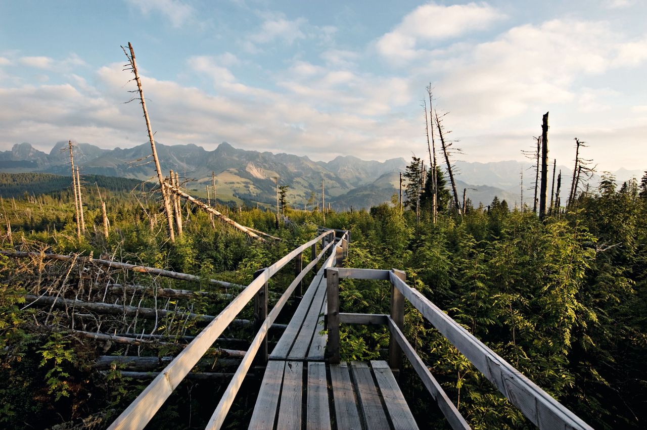 Naturpark Gantrisch Gaeggersteg