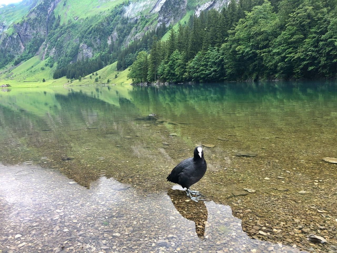 Seealpsee