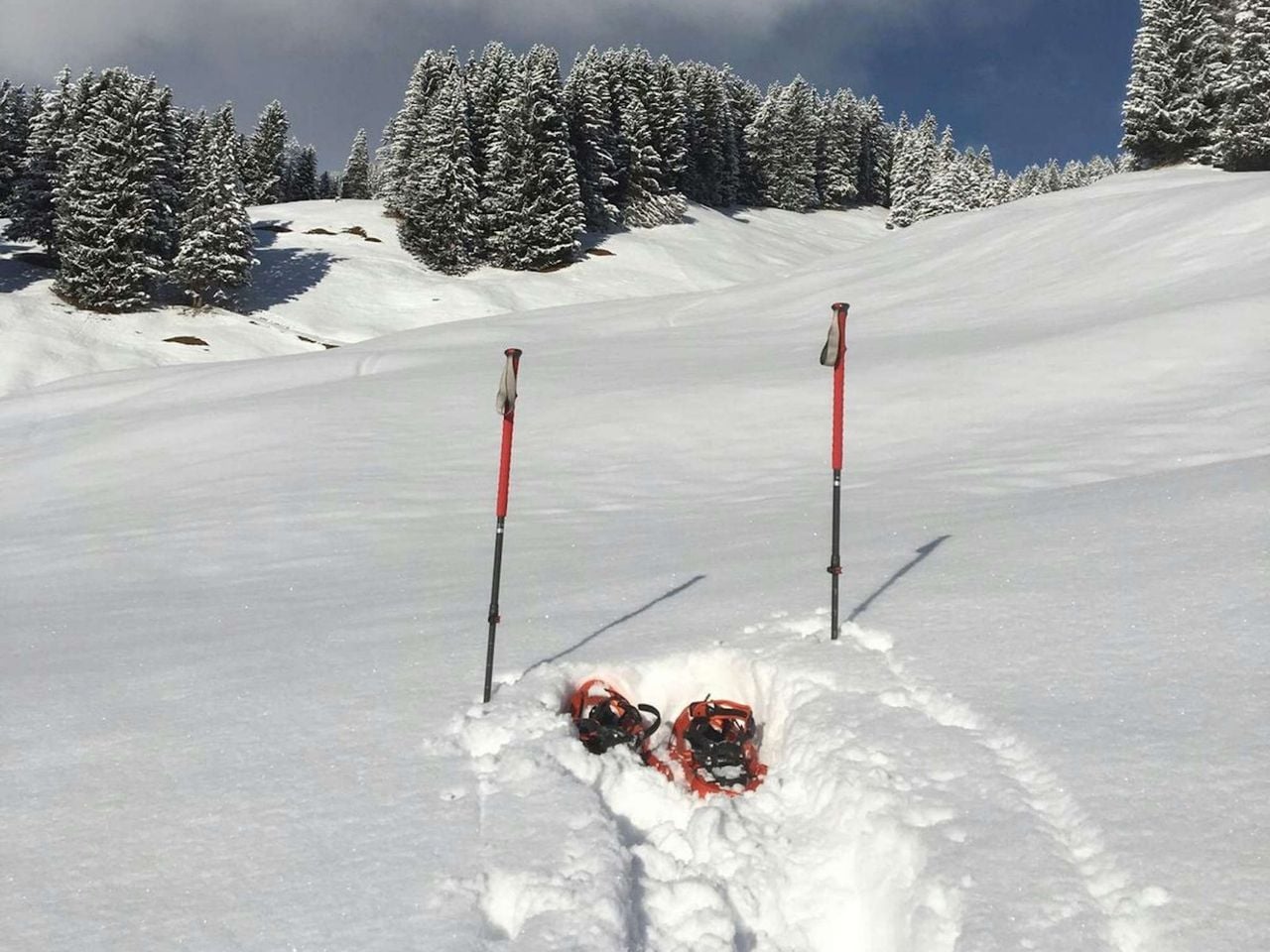 Private Snowshoe Tour in Arosa