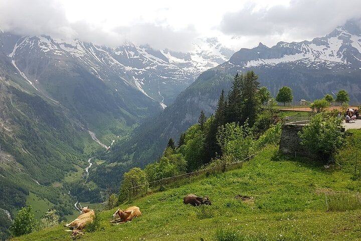 Da Berna: tour di un giorno in piccolo gruppo a Lauterbrunnen e Mürren