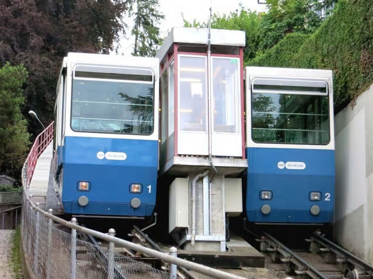 Ab Zürich: Panorama Abenteuer mit Zahnradbahn, Standseilbahn und Boot
