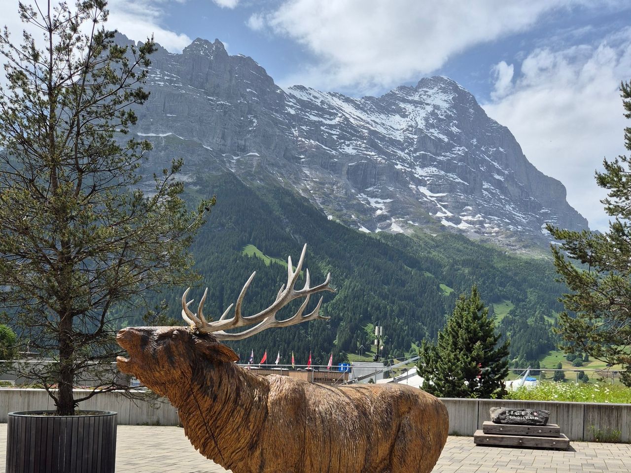 Ab Gstaad: Privater Tagesausflug aufs Jungfraujoch