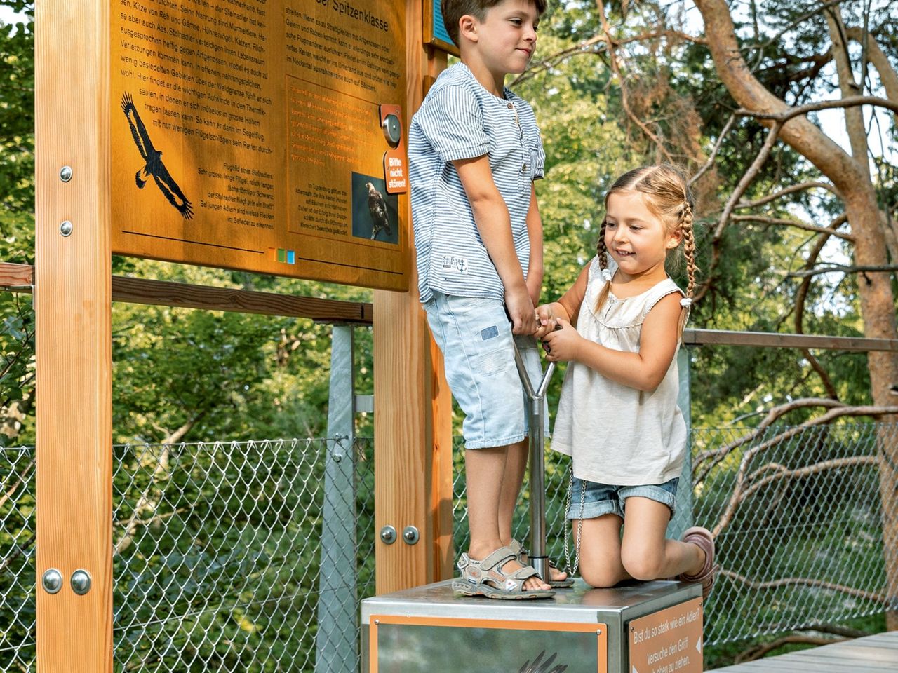 Ticket Baumwipfelpfad Neckertal im Toggenburg