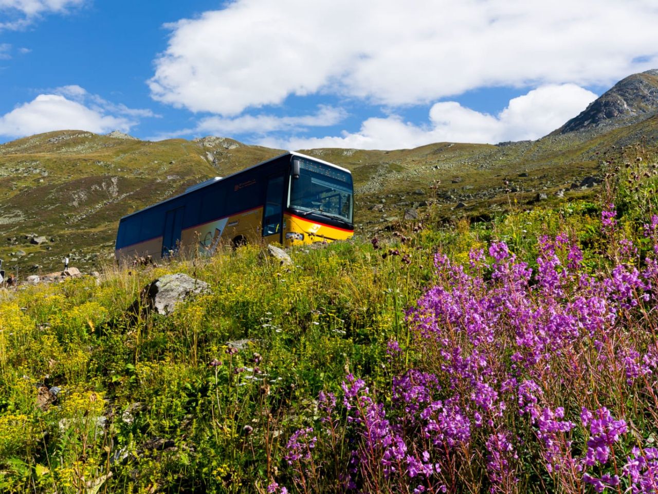 Flüela Pass Postbus Trip from Davos or Susch