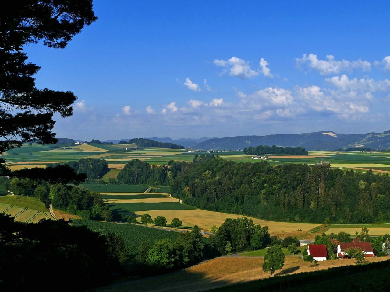 Jurapark Aargau Postauto Fahrt von Brugg nach Aarau
