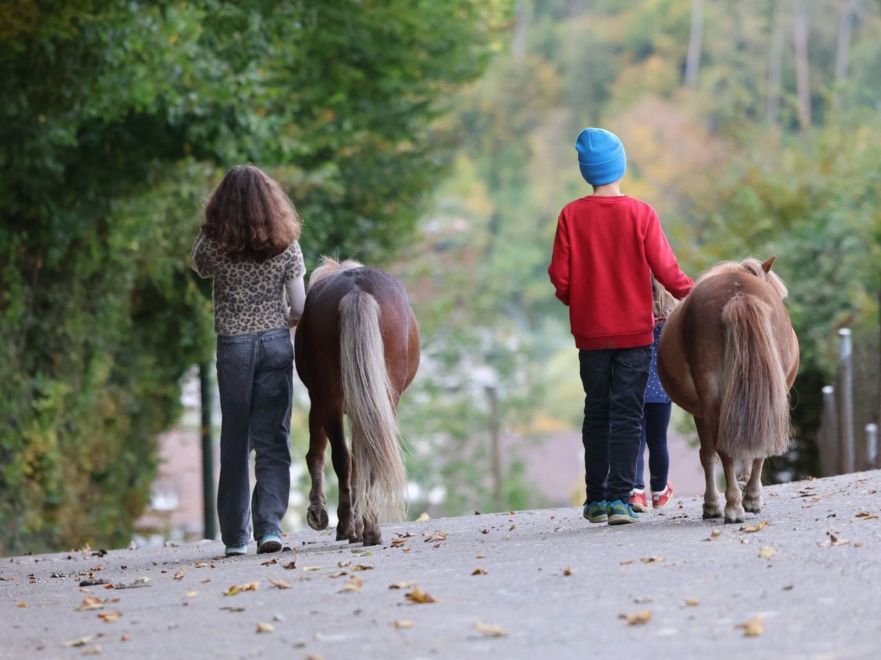 Pony Club in Lausen