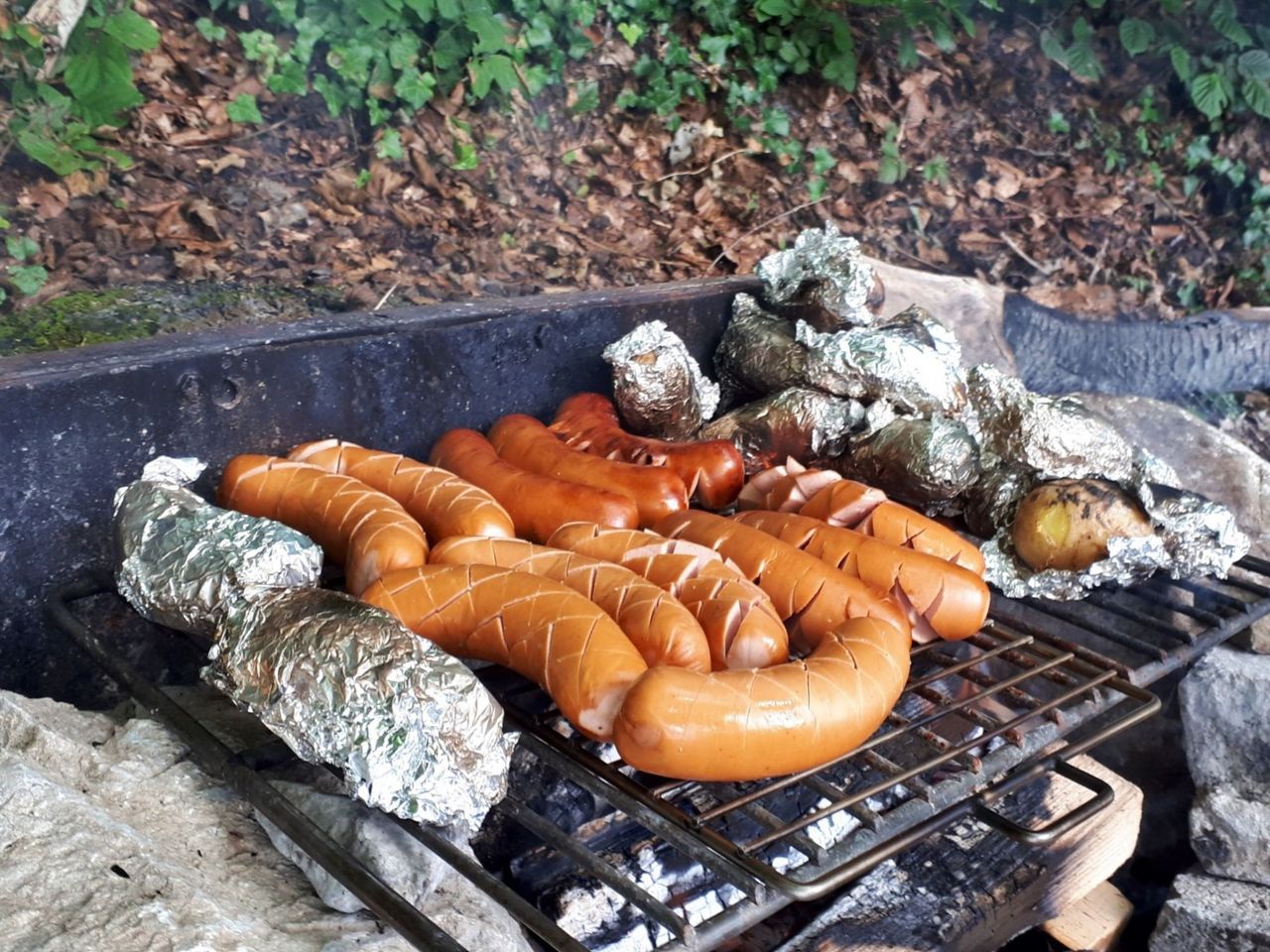 Seekajak Grill-Tour auf dem Vierwaldstättersee