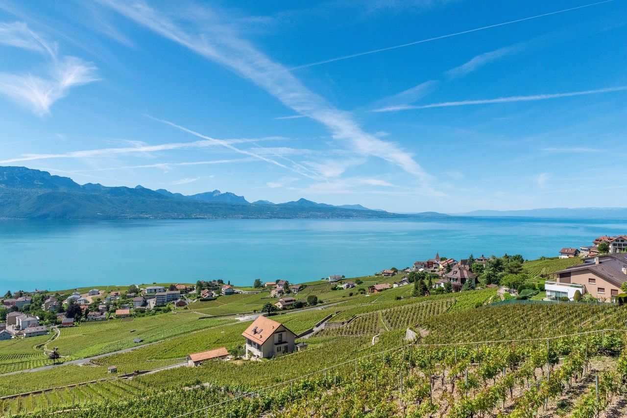Lausanne Hügel See