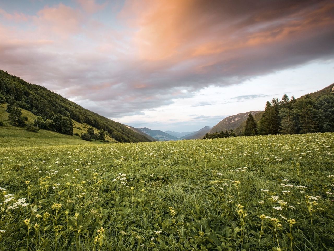 Naturpark Thal