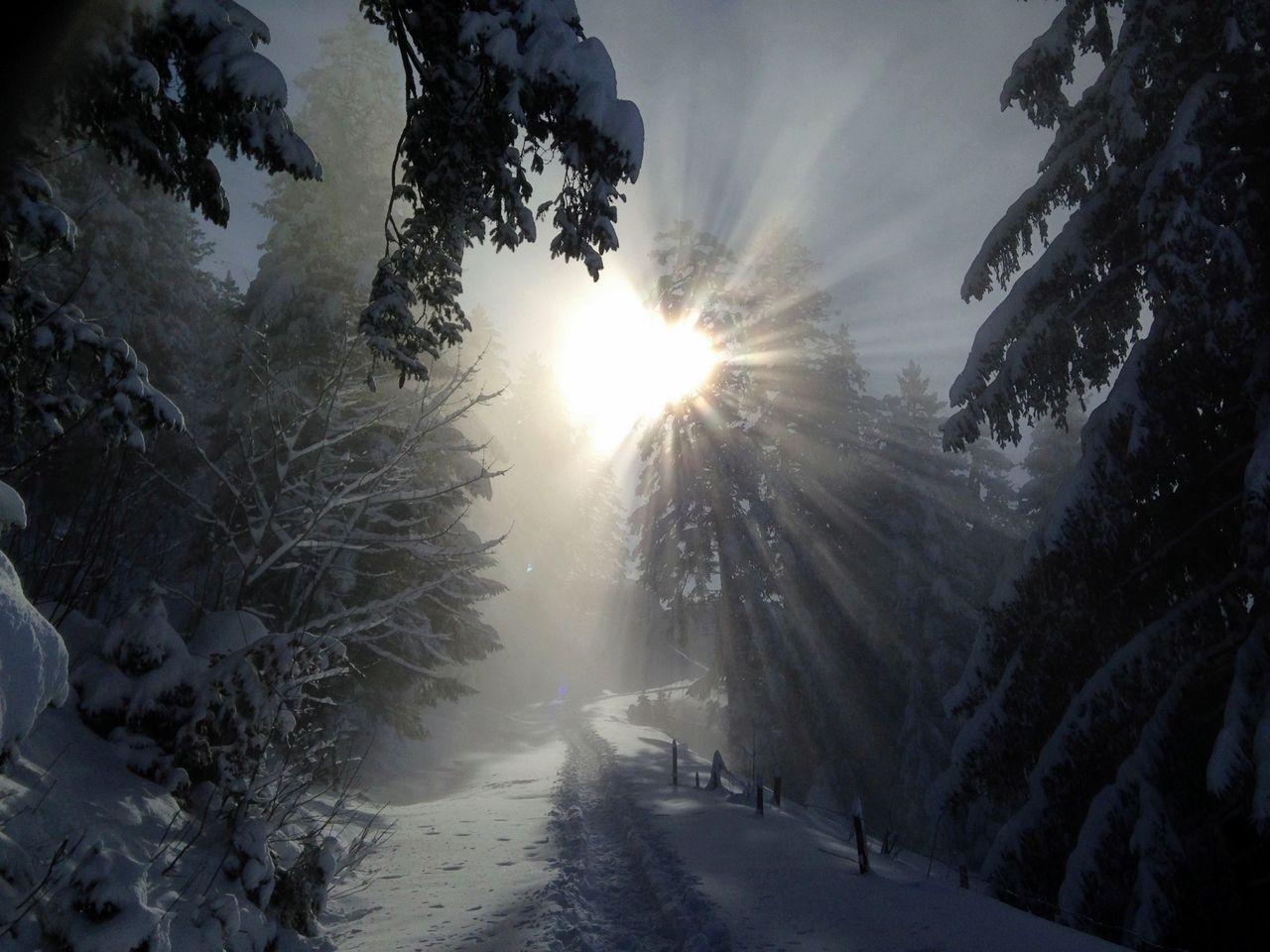 Winter in der Schweiz