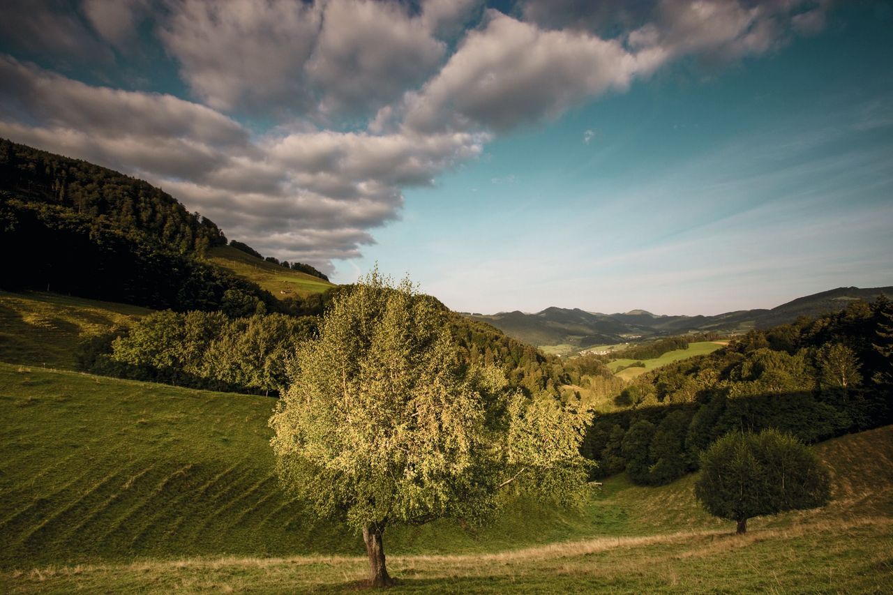 Naturpark Thal