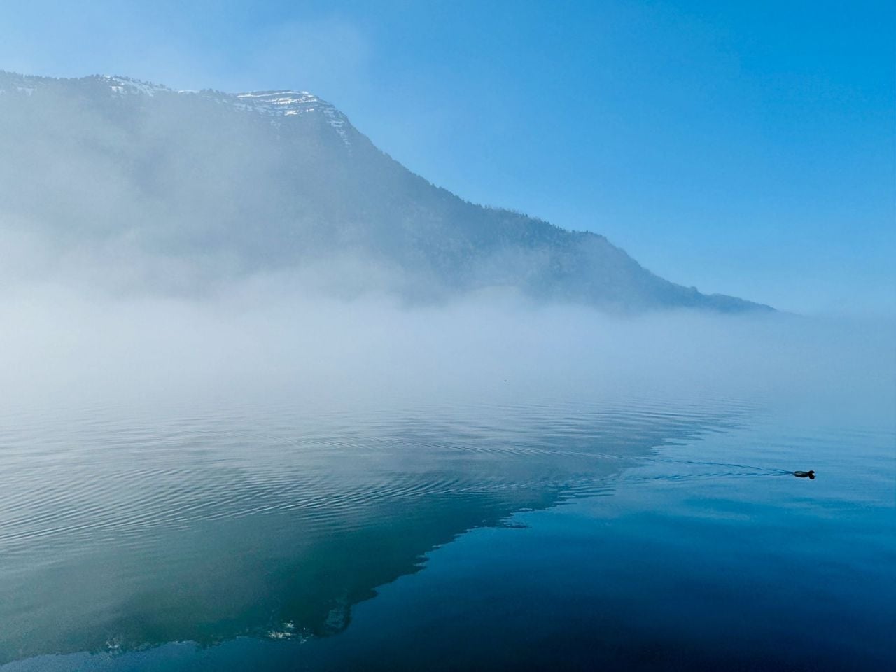 Romantische Übernachtung im Floaty auf dem Zugersee ab Arth