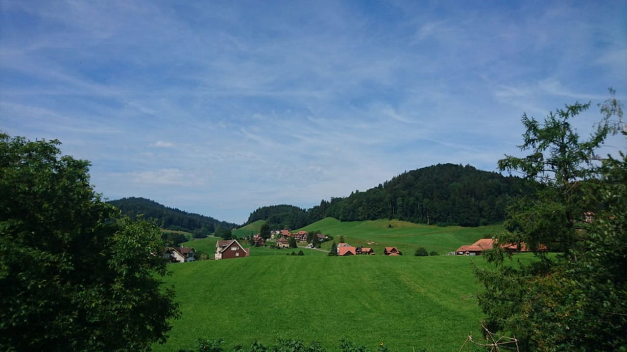 European dinner "Sönd Willkomm" with local host in Appenzell