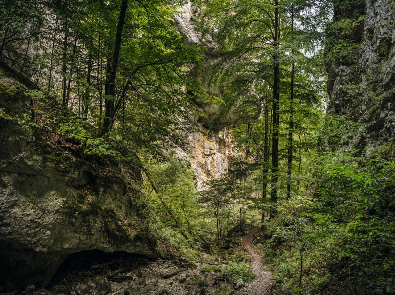 Naturpark Thal Herbertswil Wolfsschlucht