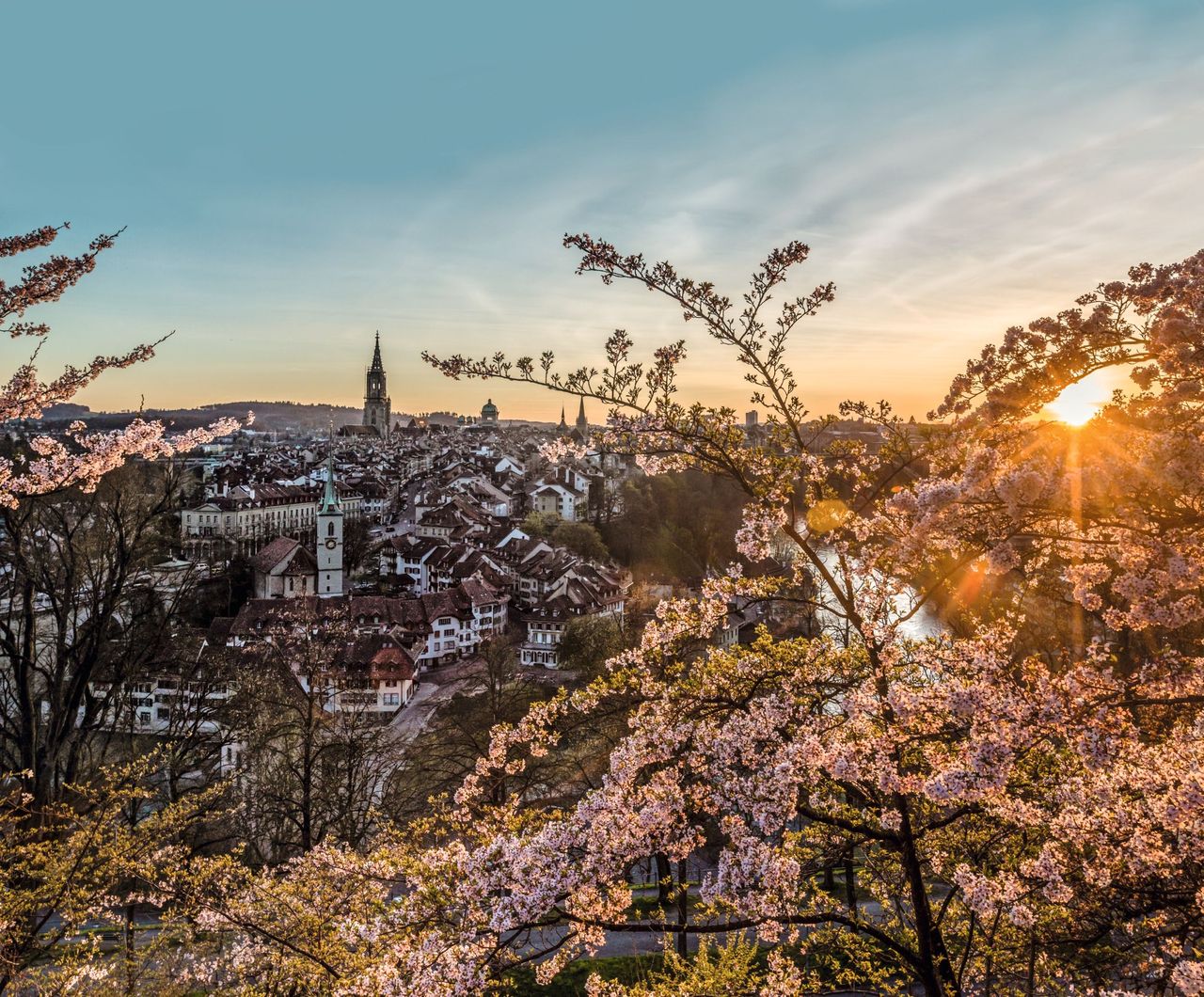 10 Tage Schweiz Rosengarten