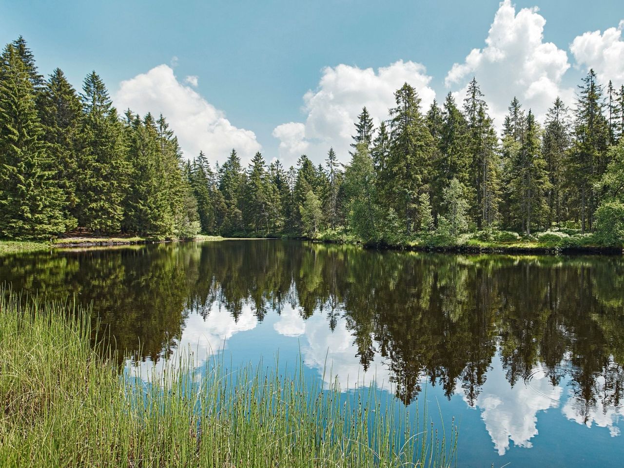Naturpark Doubs See