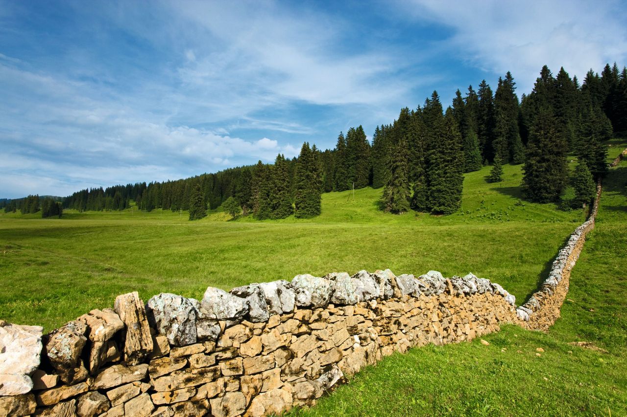 Naturpark Jura Vaudois Steinwall