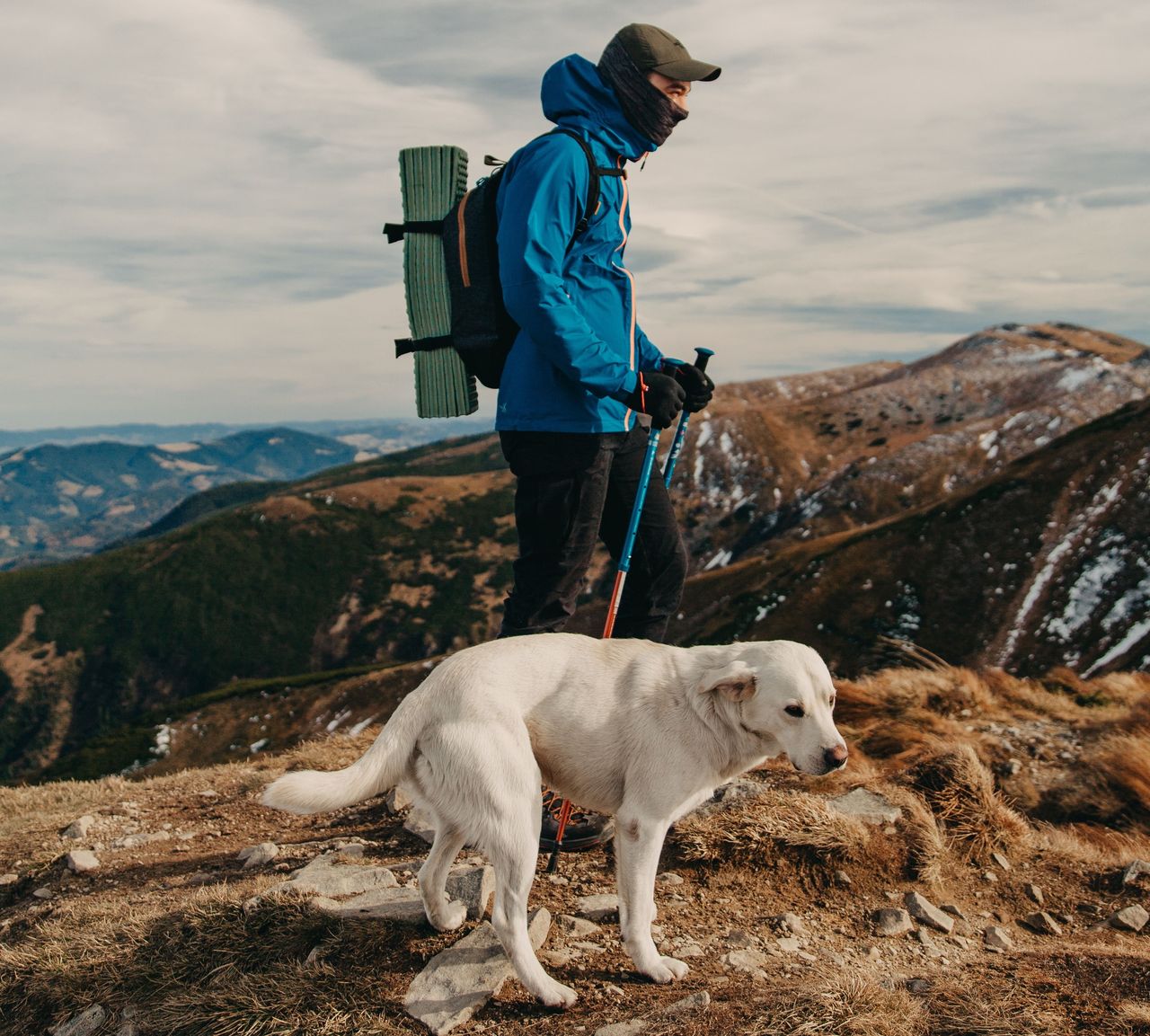 Hund Wandern