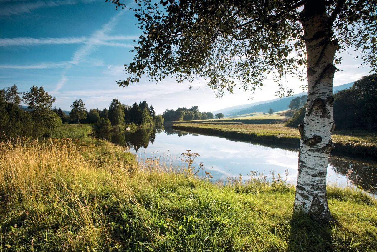 Naturpark Jura Vaudois (Foto: Schweiz Tourismus, Roland Gerth)