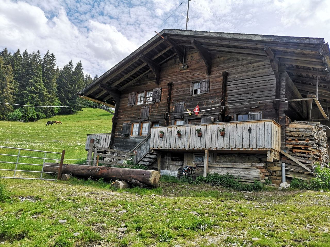 Privates Alp Erlebnis mit Käsedegustation in Adelboden