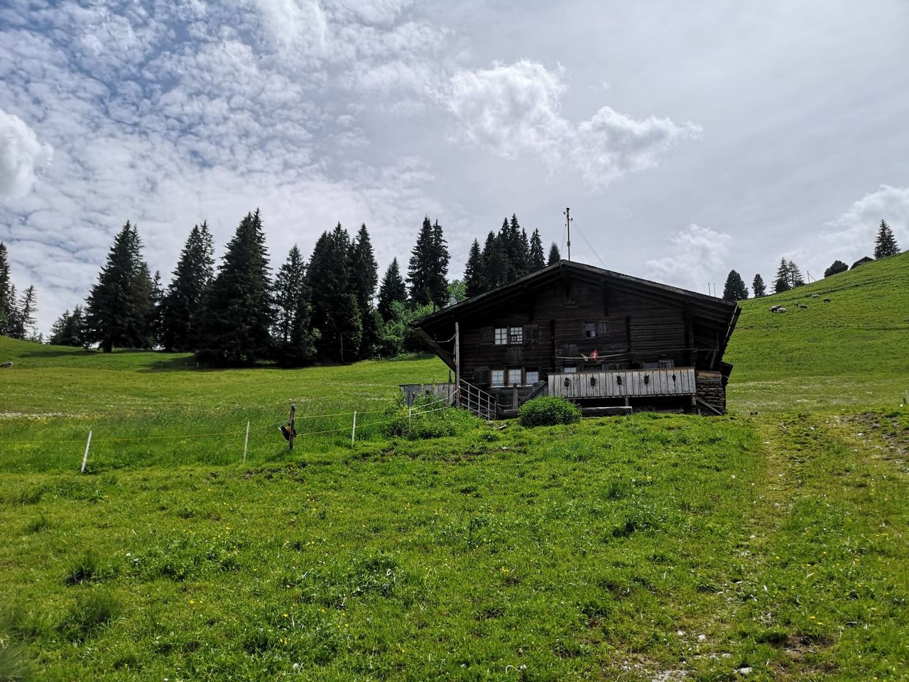 Privates Alp Erlebnis mit Käsedegustation in Adelboden