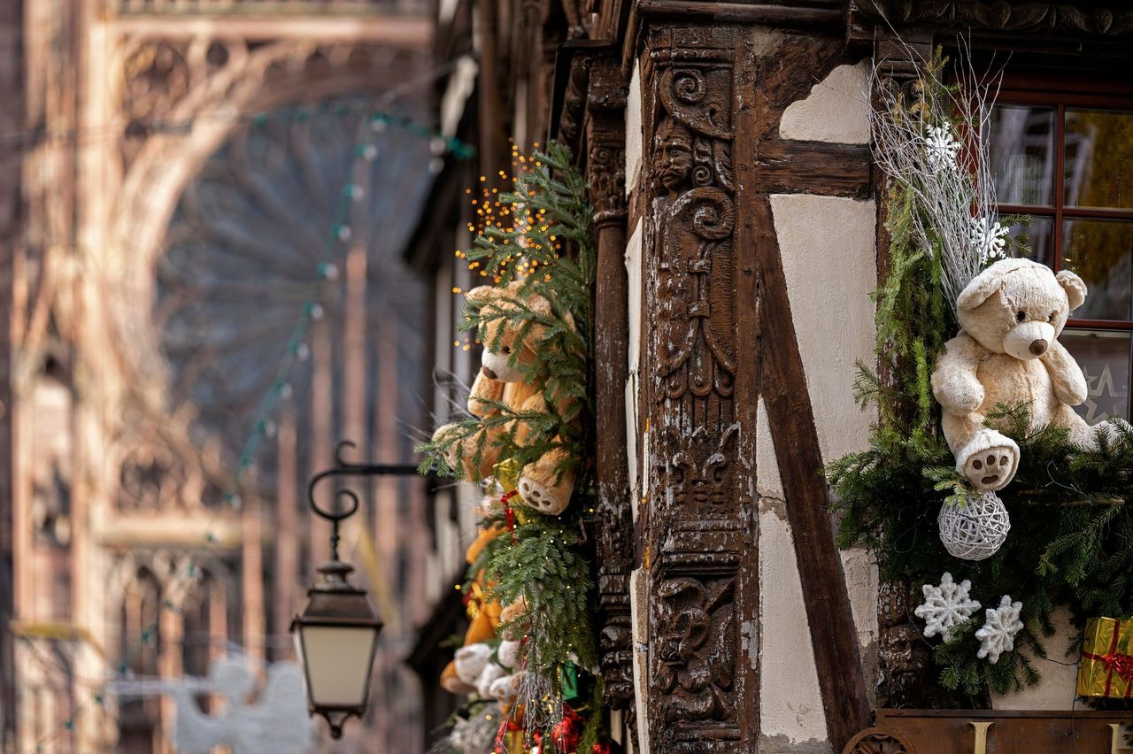 Strasbourg Christmas Market: Day Trip by Coach
