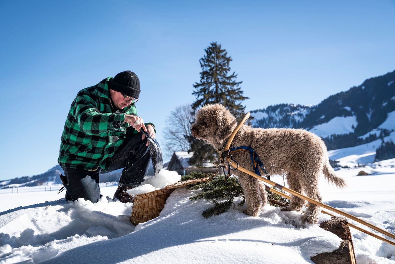 Hund Escholzmatt Wiesners Waldkueche