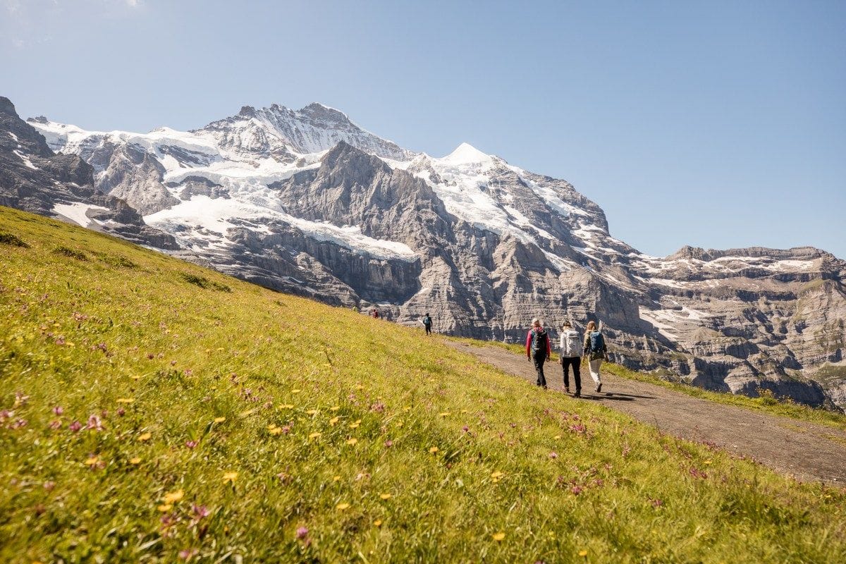 Jungfrau Travel Pass Kleine Scheidegg Wandern