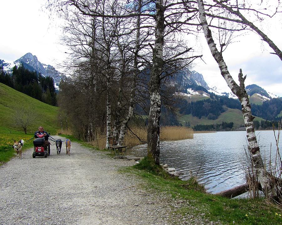 Rollstuhl Schwarzsee Seeblick Letztes Wegstück