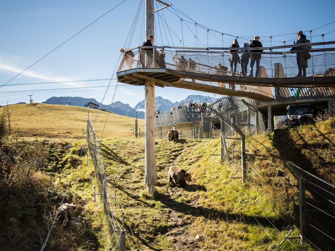 Private train trip to the Arosa Bear Land from Zurich