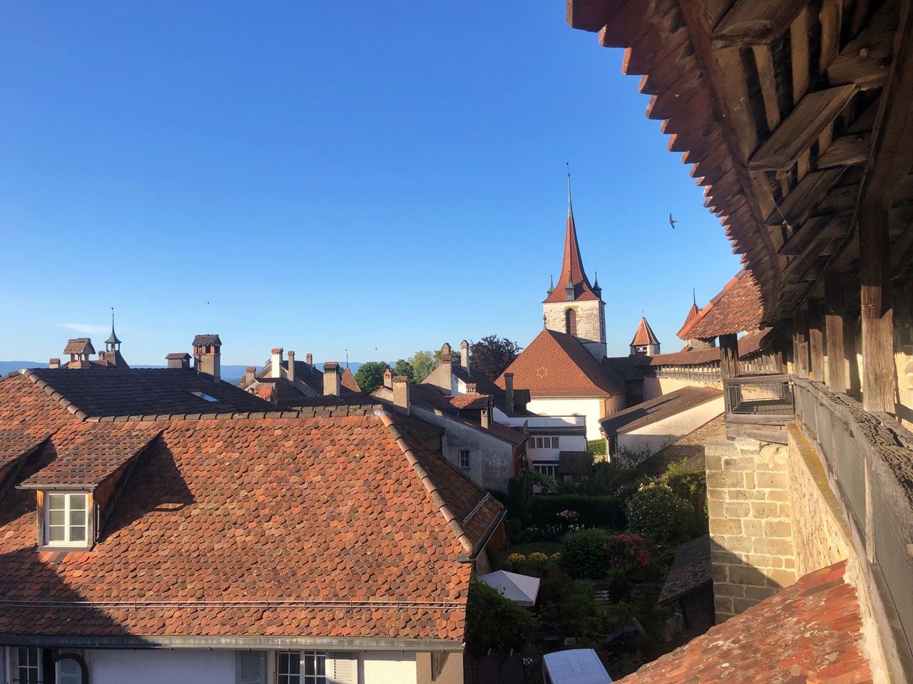 Dächer Stadtmauer Murten