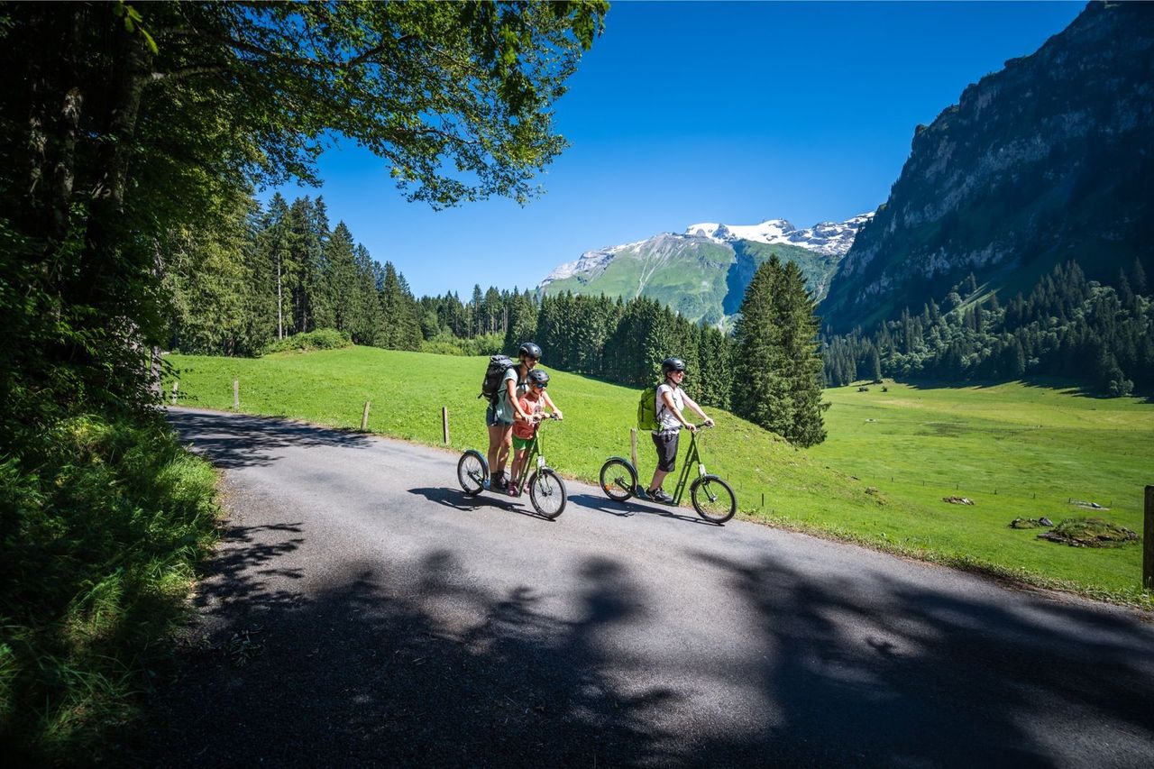 Engelberg Trotti Bike