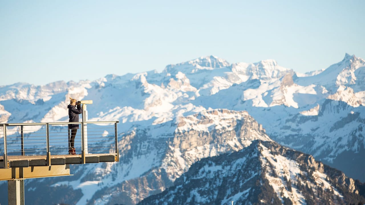 Frühling Rigi
