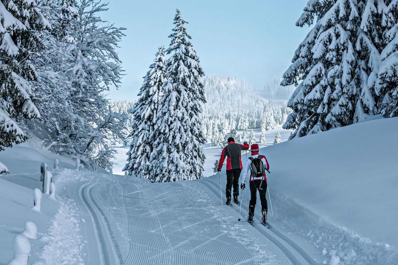 Naturpark Jura Vaudois Winter