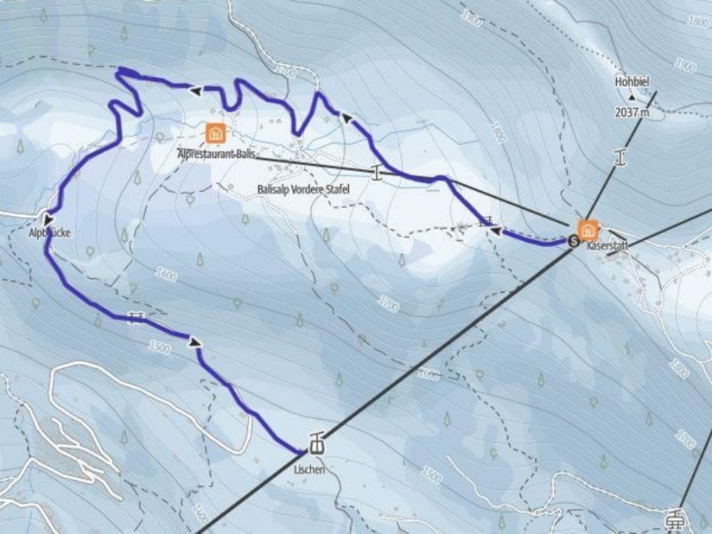 Tageskarte Schlitteln Meiringen Hasliberg