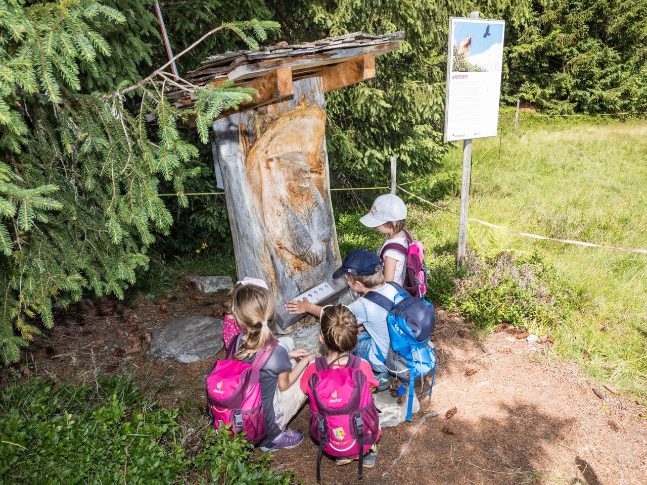Lenk: Murmeli Trail mit interaktiven Spielstationen und Bergbahnticket Betelberg
