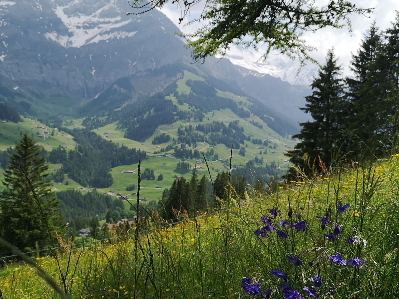 Adelboden Highlights Tagestour