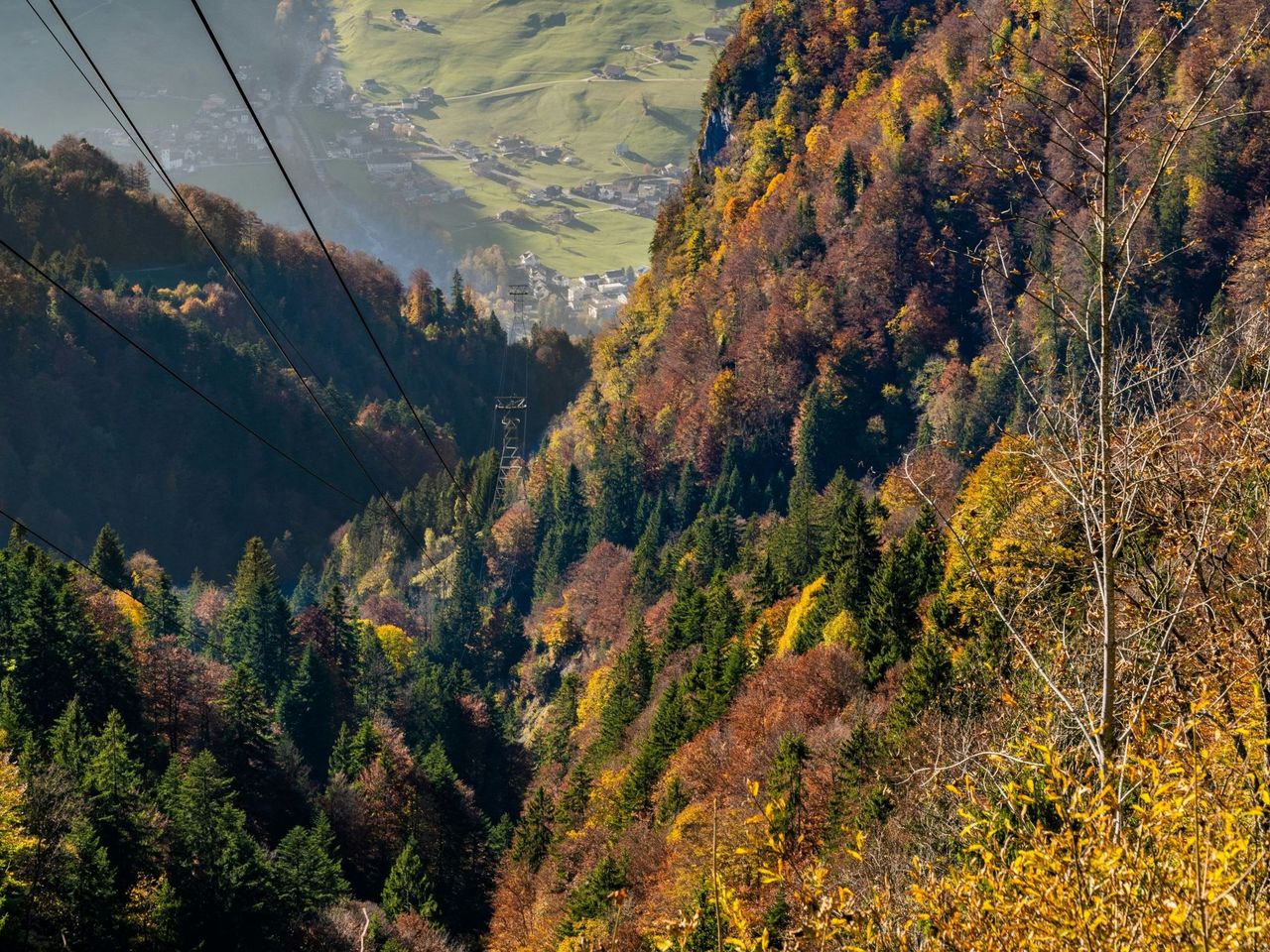 Cable car ticket Niederrickenbach ab Dallenwil