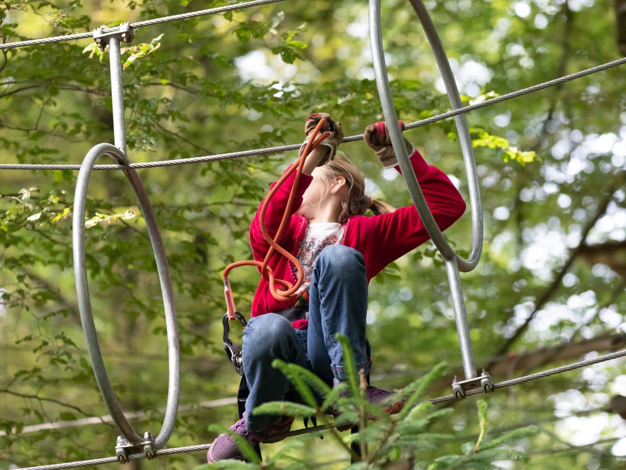 Rope Park Zurich Ticket in Kloten