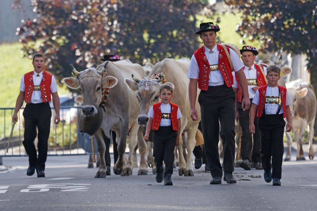 Bauern Appenzell Kühe