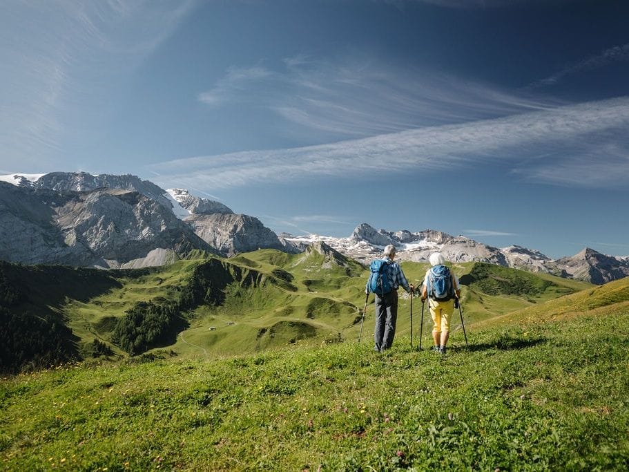 Ticket für den Blumenweg am VogellisiBerg in Adelboden
