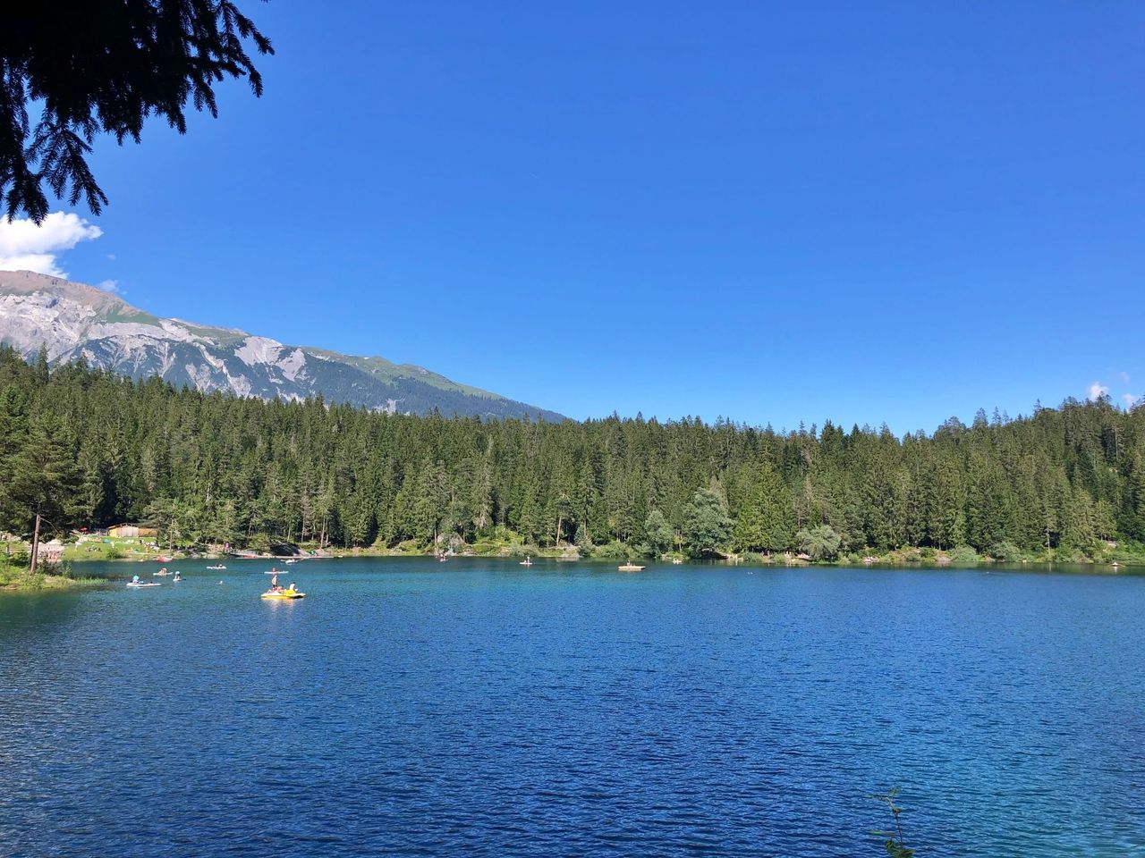 Kulinarische Wanderung “Wald und Wasser” ab Flims
