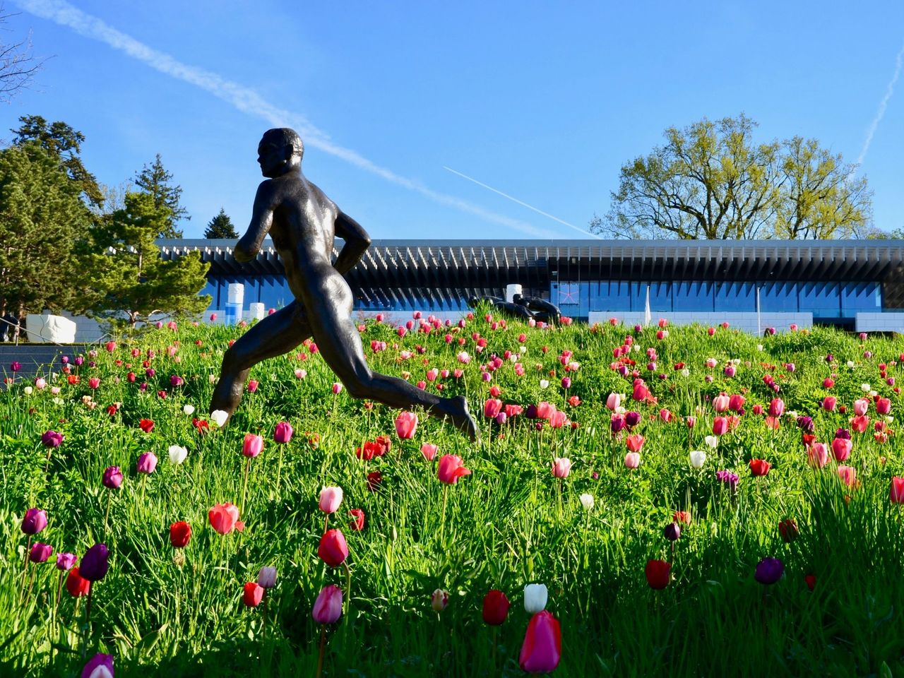 Ticket Olympisches Museum Lausanne