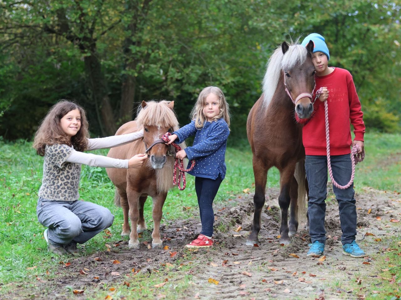 Pony Club in Lausen