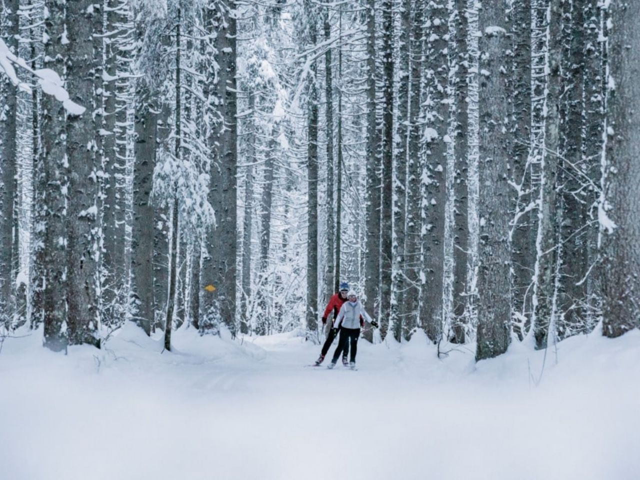 Private Cross-Country Skiing Lessons in Gstaad